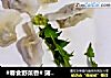 #春食野菜香# 蒲公英猪肉饺子的做法