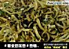 ＃春食野菜香＃香椿炒面的做法
