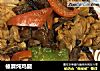 榛蘑炖鸡腿的做法