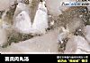 菌类肉丸汤的做法