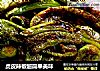 虎皮辣椒超简单美味的做法