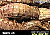 椒盐皮皮虾的做法