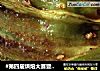 #第四届烘焙大赛暨是爱吃节#烤辣椒的做法