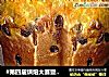 #第四届烘焙大赛暨是爱吃节#蜂蜜面包的做法