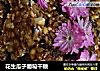 花生瓜子葡萄干糖的做法
