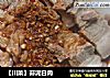 【川菜】蒜泥白肉的做法