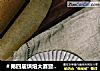 ＃第四届烘焙大赛暨是爱吃节＃醇香黑米戚风蛋糕卷的做法