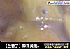 【兰香子】珍珠黄桃巧克力奶茶的做法