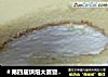 ＃第四届烘焙大赛暨是爱吃节＃奶油蛋糕卷的做法