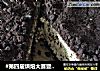 #第四届烘焙大赛暨是爱吃节#奥利奥芝士蛋糕的做法