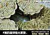 #第四届烘焙大赛暨是爱吃节#抹茶绿豆糕的做法