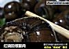 红烧田螺酿肉的做法