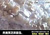 燕麦黑芝麻面包、的做法