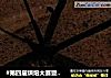 #第四届烘焙大赛暨是爱吃节#巧克力戚风蛋糕的做法