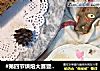 #第四节烘焙大赛暨是爱吃节#肉松蛋糕卷的做法