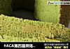 造色情怀抹茶戚风蛋糕的做法