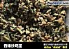 香椿炒鸡蛋的做法