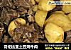 哥伦比亚土豆炖牛肉的做法