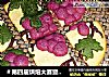 ＃第四届烘焙大赛暨是爱吃节＃葡萄饼干的做法