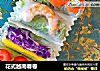 花式越南春卷的做法