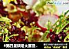 #第四届烘焙大赛暨是爱吃节#香酥烤鸡腿肉的做法