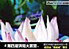 ＃第四届烘焙大赛暨是爱吃节＃烤洋葱的做法