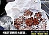 #第四节烘焙大赛暨是爱吃节#巧克力曲奇的做法