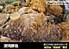 清炖鲫鱼的做法