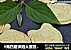 #第四届烘焙大赛暨是爱吃节# 叮当猫饼干的做法