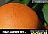 #第四届烘焙大赛暨是爱吃节#牛奶豆沙小面包的做法