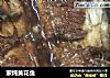 家炖黄花鱼的做法