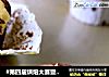 #第四届烘焙大赛暨是爱吃节# 雪顶巧克力蛋糕的做法