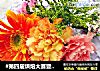#第四届烘焙大赛暨是爱吃节#母亲节献礼——“花样”蛋糕（超多小贴士）的做法