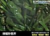 辣椒炒香芹的做法