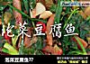 泡菜豆腐鱼??的做法