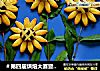 ＃第四届烘焙大赛暨是爱吃节＃向日葵饼干的做法