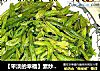 【平淡的幸福】素炒芸豆丝的做法