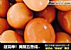 超简单！腌制五香咸鸡蛋??的做法