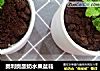 奥利奥酸奶水果盆栽的做法
