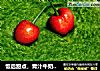 饭后甜点，青汁牛奶鸡蛋羹的做法