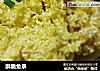 酥脆鱼条的做法