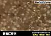 藜麦红枣粥的做法