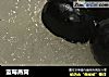 蓝莓燕窝的做法