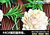 #ACA第四届烘焙大赛#造色情怀 鲜虾松塔的做法