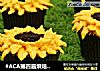 #ACA第四届烘焙大赛#造色情怀 向日葵马芬蛋糕的做法