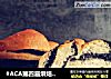 #ACA第四届烘焙大赛#造色情怀 斑马纹吐司（面包机版）的做法