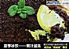 夏季冰饮的做法
