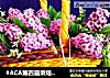 #ACA第四届烘焙大赛#造色情怀 紫丁香花篮饼干的做法