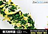 春天的味道（三）—荠菜拌春笋的做法