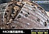 #ACA第四届烘焙大赛#造色情怀 巧克力软欧的做法
